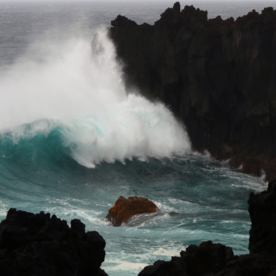 WAVE 1